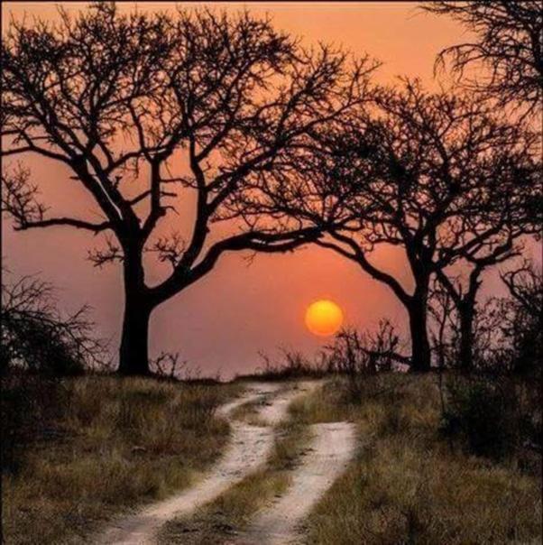 Weltevreden Game Lodge Bloemfontein Exteriör bild