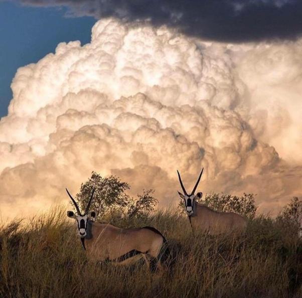 Weltevreden Game Lodge Bloemfontein Exteriör bild
