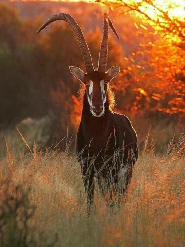 Weltevreden Game Lodge Bloemfontein Exteriör bild