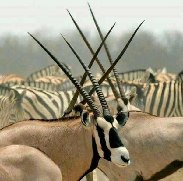 Weltevreden Game Lodge Bloemfontein Exteriör bild