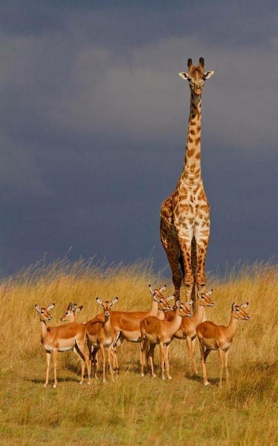 Weltevreden Game Lodge Bloemfontein Exteriör bild