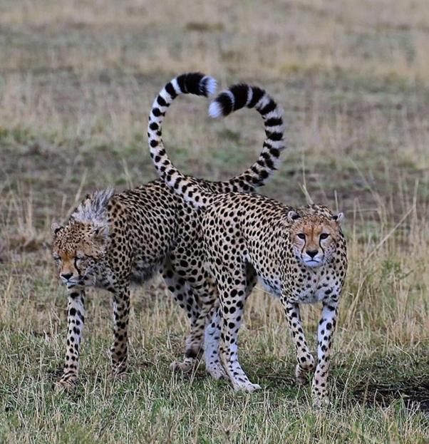 Weltevreden Game Lodge Bloemfontein Exteriör bild